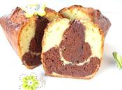 CAKE MARBRE SAVANE (chocolat vanille) BONNE ANNEE 2014
