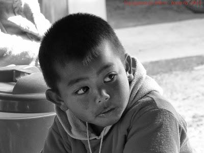 Portraits Isaan 2014 préparation repas du 1 janvier