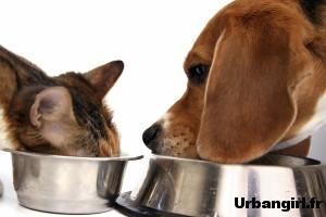 Un smoothie anti-oxydant pour bien démarrer l’année