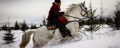 Passionnés de photo et de randonnée à cheval ? Tous en selle avec Caval & Go !