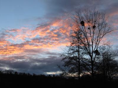 Un petit tour à l'étang