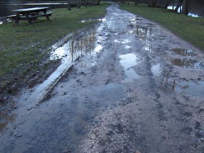 Un petit tour à l'étang