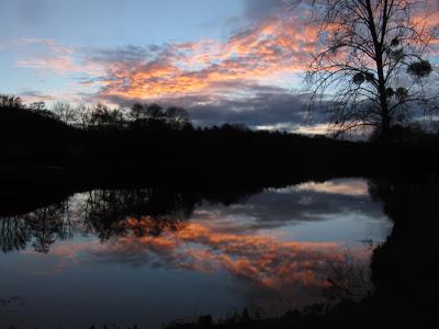 Un petit tour à l'étang