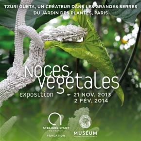 Tzuri_Gueta_-_Noces_vegetales_-_Grandes_Serres_du_Jardin_des_Plantes