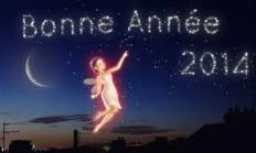 bonne année fée