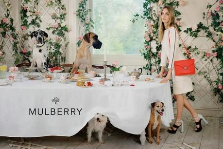 La superbe Cara Delevingne dans la nouvelle campagne Mulberry...