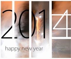 Bonne année 2014!