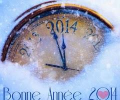 Bonne année 2014!