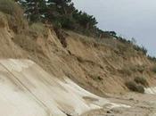 cordon dunaire Couarde-en-Ré sérieusement fragilisé attaques répétées vents