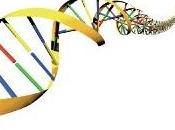 VIEILLISSEMENT: l'on éteignait gènes l'âge? Nature Communications