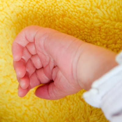 2013 au pays des Fées