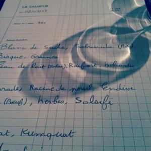 Le Galopin de Romain Tischenko 20140105-130358.jpg