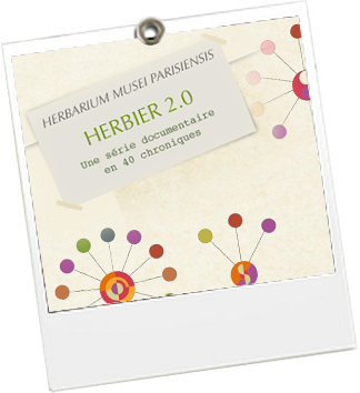 Herbier 2.0 - Museum d'histoire naturelle - JulieFromParis