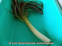 Lasagne de riz aux légumes d'hiver