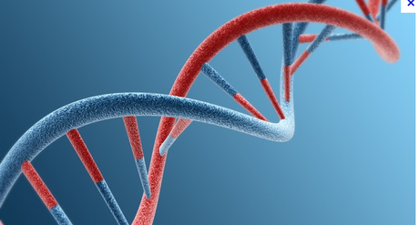 Capture d’écran 2014-01-06 à 08.37.36