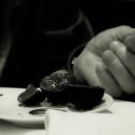 GASTRONOMIE: La Truffe Noire ( VIDEO E-TV )