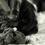 GASTRONOMIE: La Truffe Noire ( VIDEO E-TV )