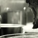 GASTRONOMIE: La Truffe Noire ( VIDEO E-TV )