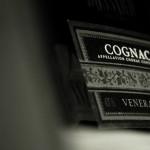 GASTRONOMIE: La Truffe Noire ( VIDEO E-TV )