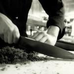 GASTRONOMIE: La Truffe Noire ( VIDEO E-TV )