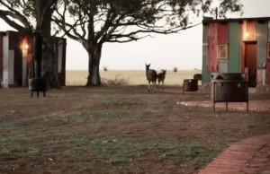 1.hotel faux bidonville