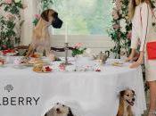 Cara Delevingne ménagerie pour Mulberry