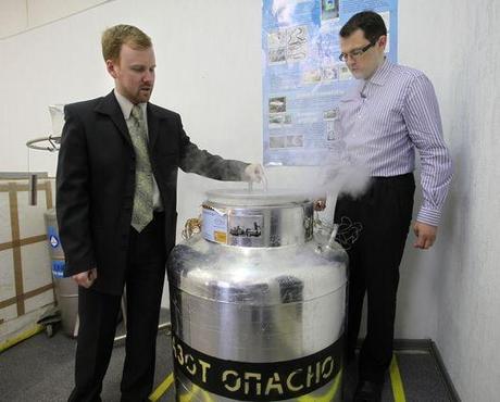 Une unité de stockage d'un cerveau à Kriorus, l'entreprise russe de cryonisation basée à Moscou.