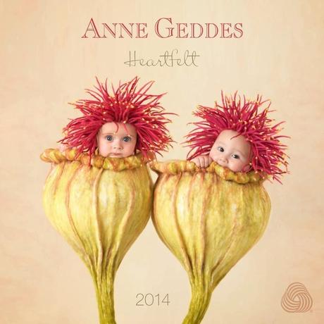 Mes voeux, mes projets pour 2014