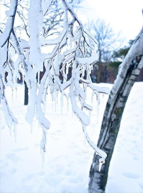 anteketborka.blogspot.com, hiver9