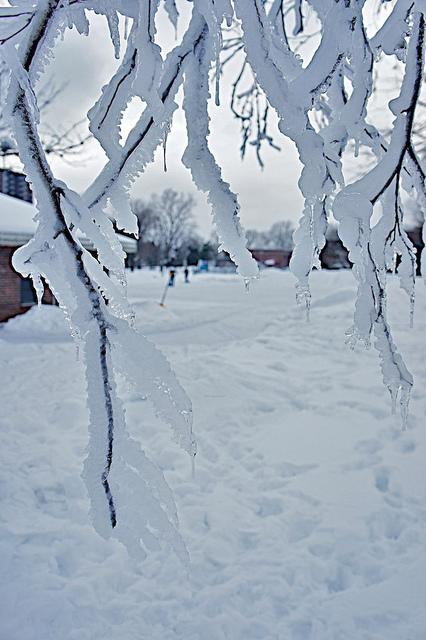 anteketborka.blogspot.com, hiver11