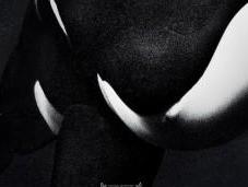 [Critique] BLACKFISH