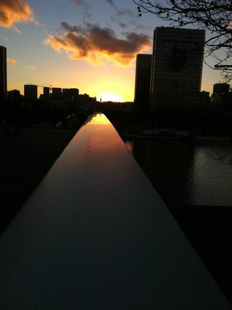 Promenade vers la BNF à Paris IMG_4145
