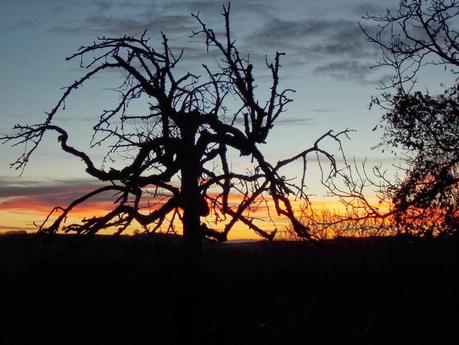 pour que le jour commence