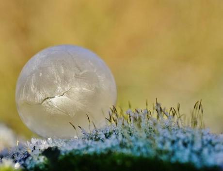 De superbes photos de bulles d'eau gelées