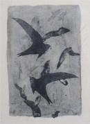 André Schmitz – Les oiseaux