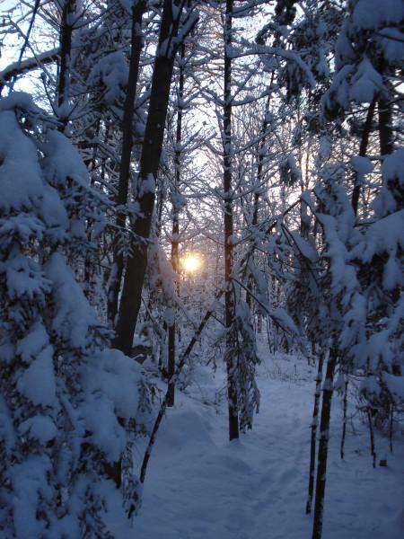 20111210 Stoneham 010