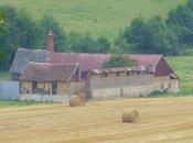 Questions d'agriculture