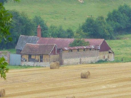 Questions d'agriculture