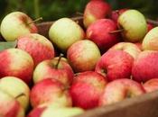 Poelee pommes epices