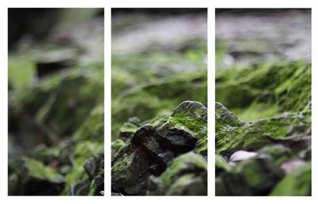 ~ Mes expérimentations photographiques : les polyptyques (2/2) ~