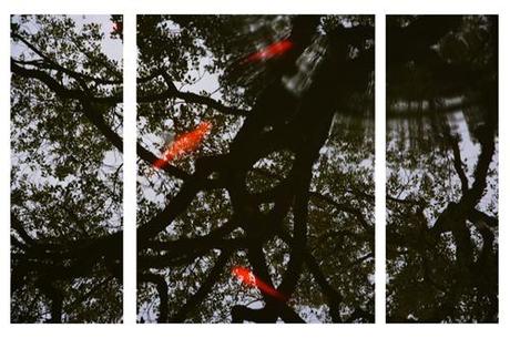 ~ Mes expérimentations photographiques : les polyptyques (2/2) ~