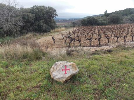 il pourrait bien dire