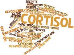 cortisol-stress-glucides-tennis