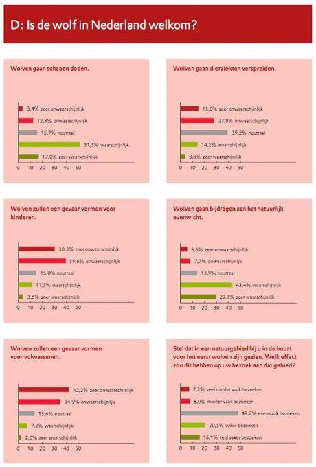 Le-loup-est-il-bienvenu-aux-pays-bas