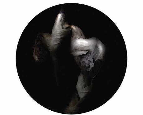 jean yves morin 1 Jean Yves Morin, Vanitas