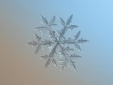 Macro-Snowflake-10