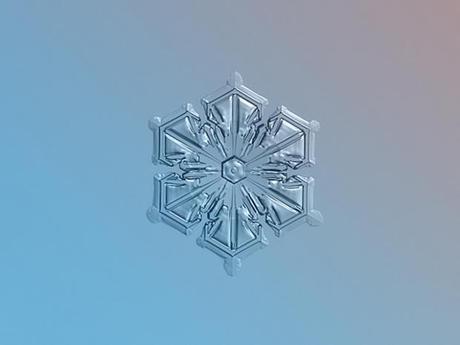 Macro-Snowflake-5