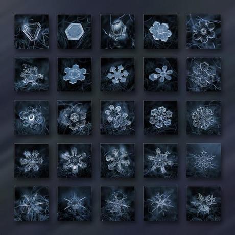 Macro-Snowflake-18