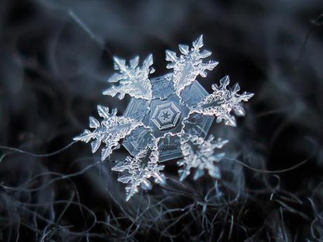 Macro-Snowflake-4