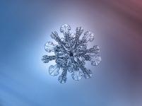 Les plus belles photos de flocons de neige par Alexey Klijatov